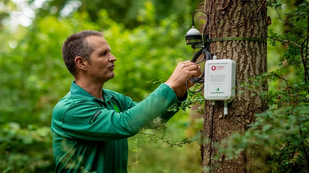 Tree Tracking