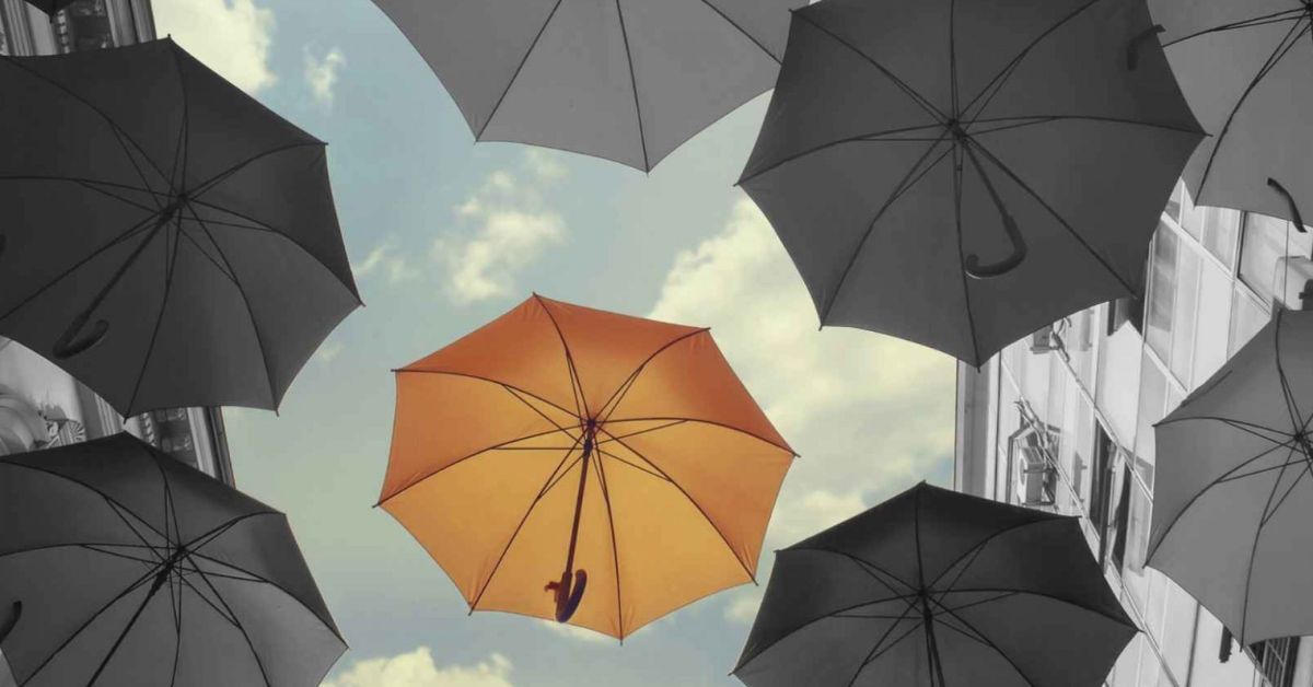 Umbrella